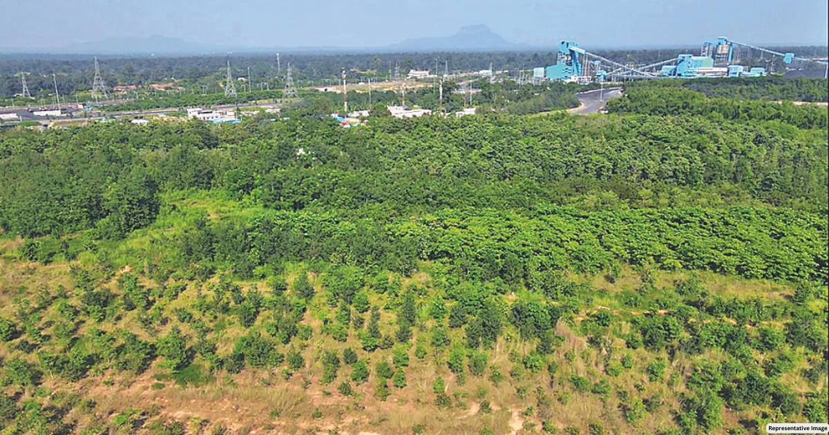 5L trees to be planted in mining areas